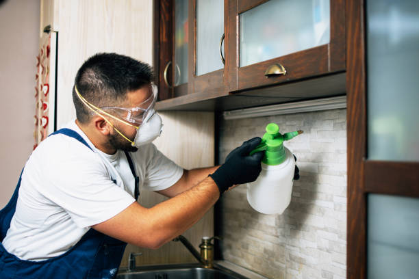 Trusted Lake Mills, IA Pest Control Experts