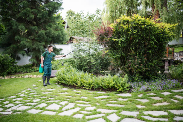 Best Pest Control for Restaurants  in Lake Mills, IA