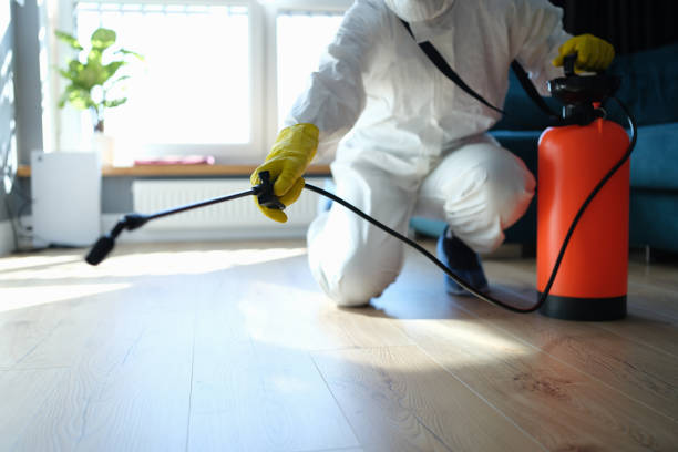 Insect Control in Lake Mills, IA