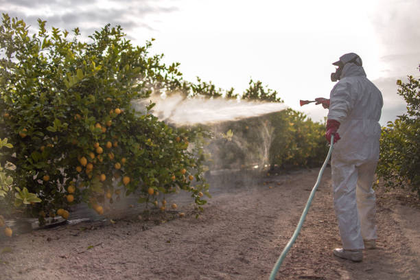 Trusted Lake Mills, IA Pest Control Experts