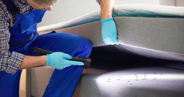 Pest Control for Restaurants in Lake Mills, IA