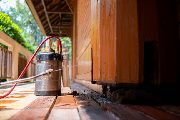 Best Exterminator Services  in Lake Mills, IA