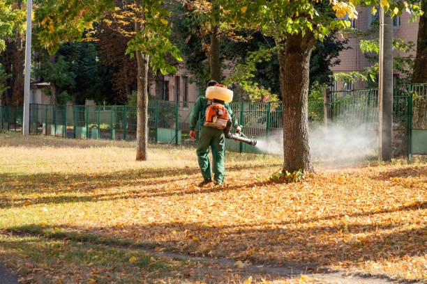 Best Best Pest Control Companies  in Lake Mills, IA