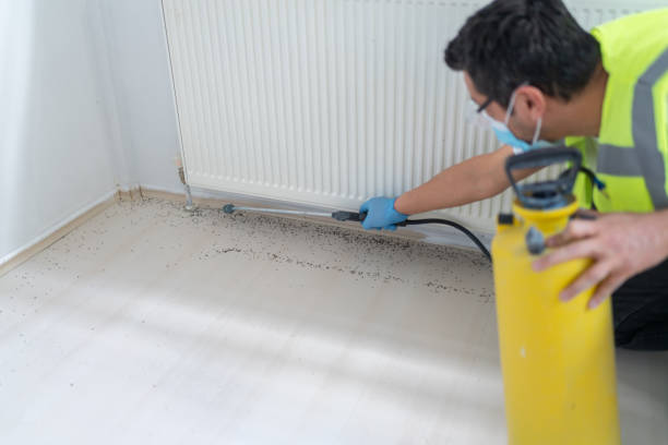 Pest Prevention Services in Lake Mills, IA